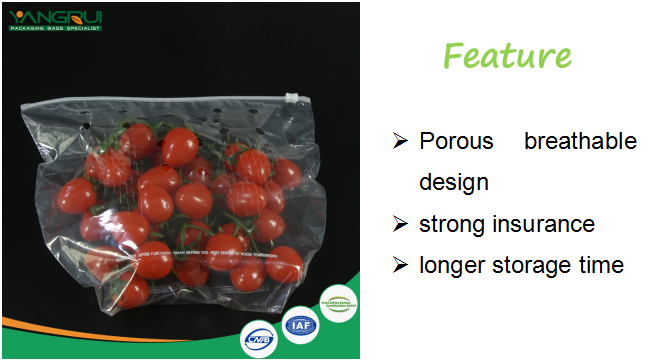 সিপিপি প্লাস্টিকের ব্যাগ