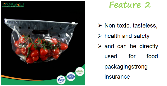 সিপিএফ ফল ব্যাগ