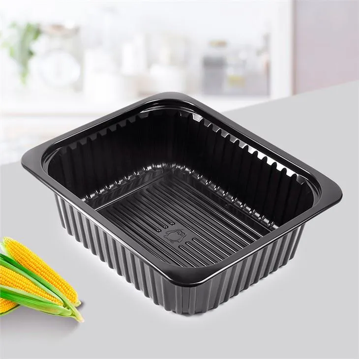 Disposable PP Plastic Big Hot Food Tray