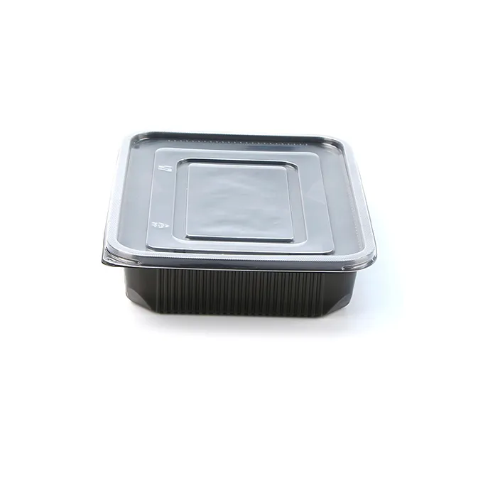 প্লাস্টিক পাত্রে খাবার প্রস্তুত পাত্রে