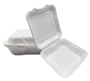 8'' Bagasse যাও খাদ্য পাত্রে