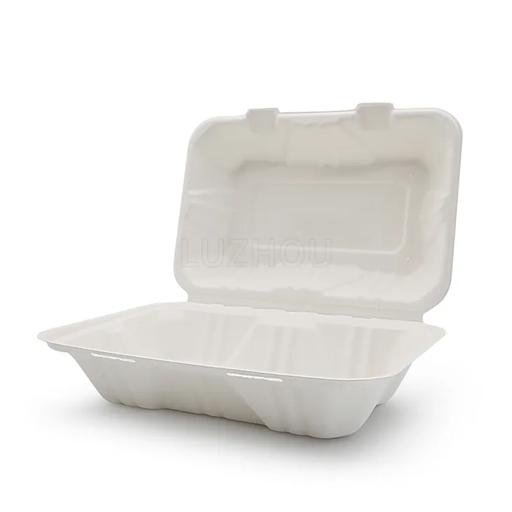 কন্টেইনার Bagasse Hinged যান