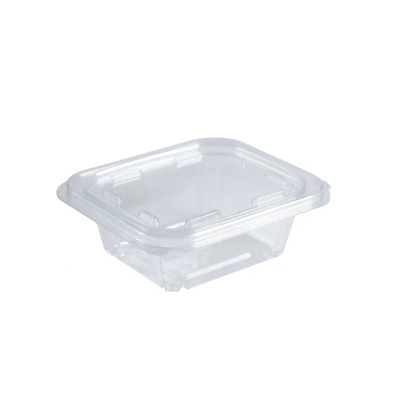 পোষা সালাদ কব্জি ডেলি কনটেইনার