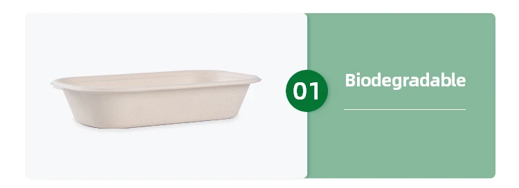 disposable bowls with lids for soup