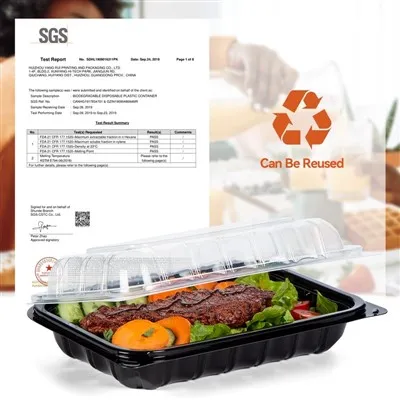 Togo Box With Clear Lid